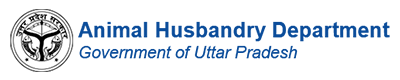 Animal Husbandry Department